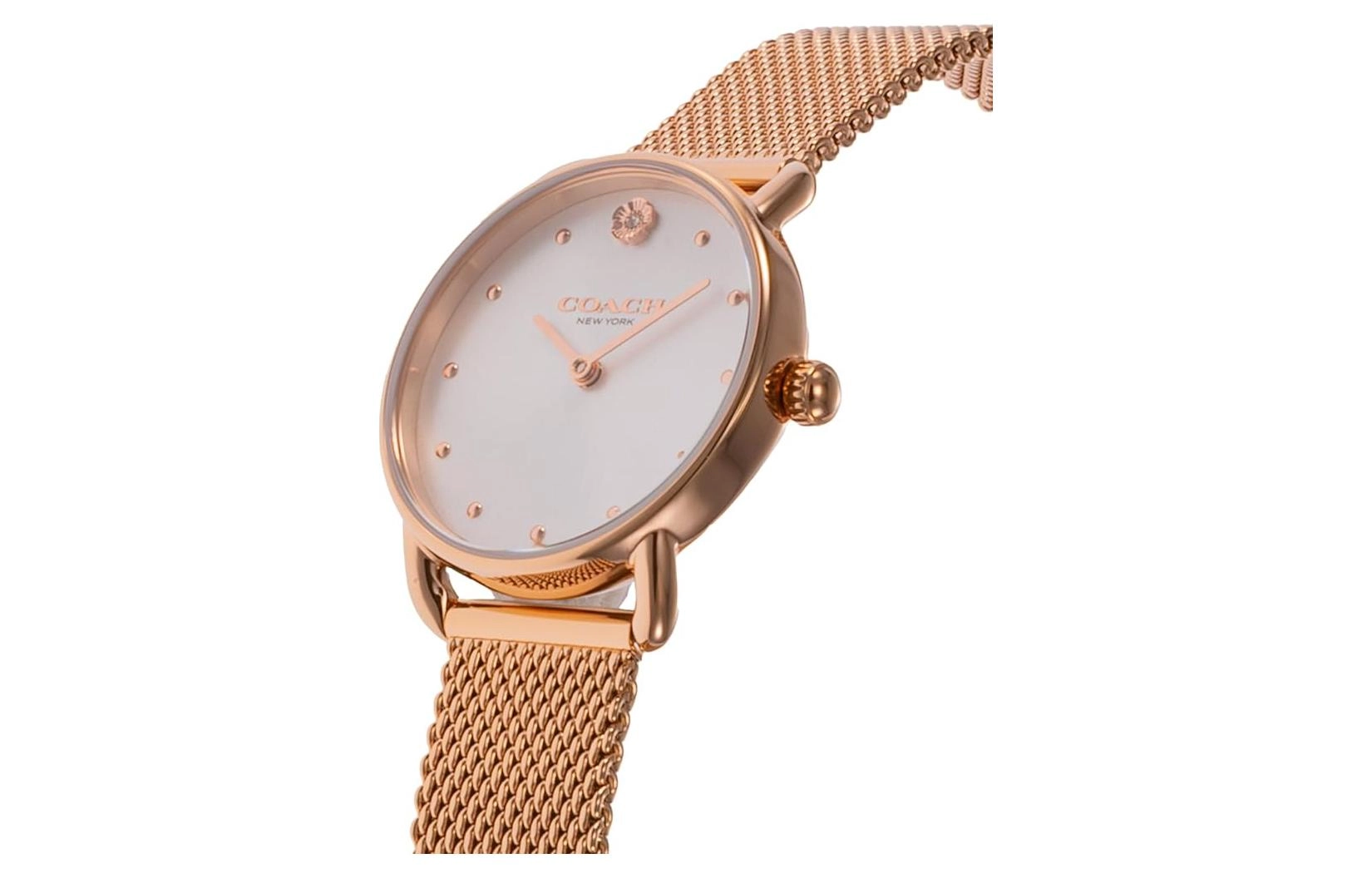 COACHElliot 36mm 14504222