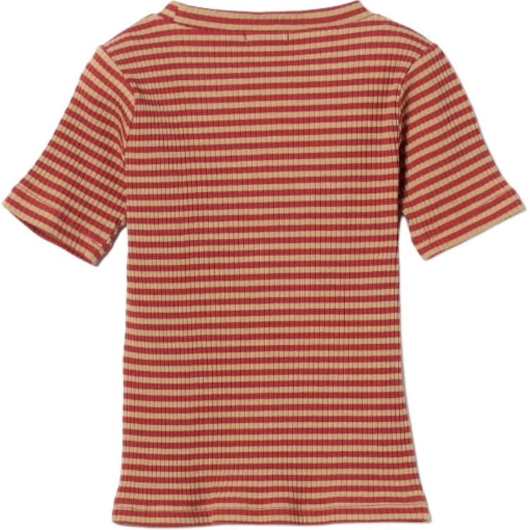 beams T