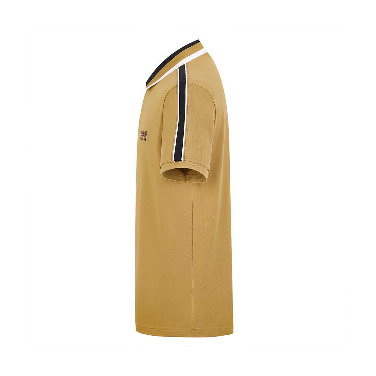 Cavalli Class LogoPolo