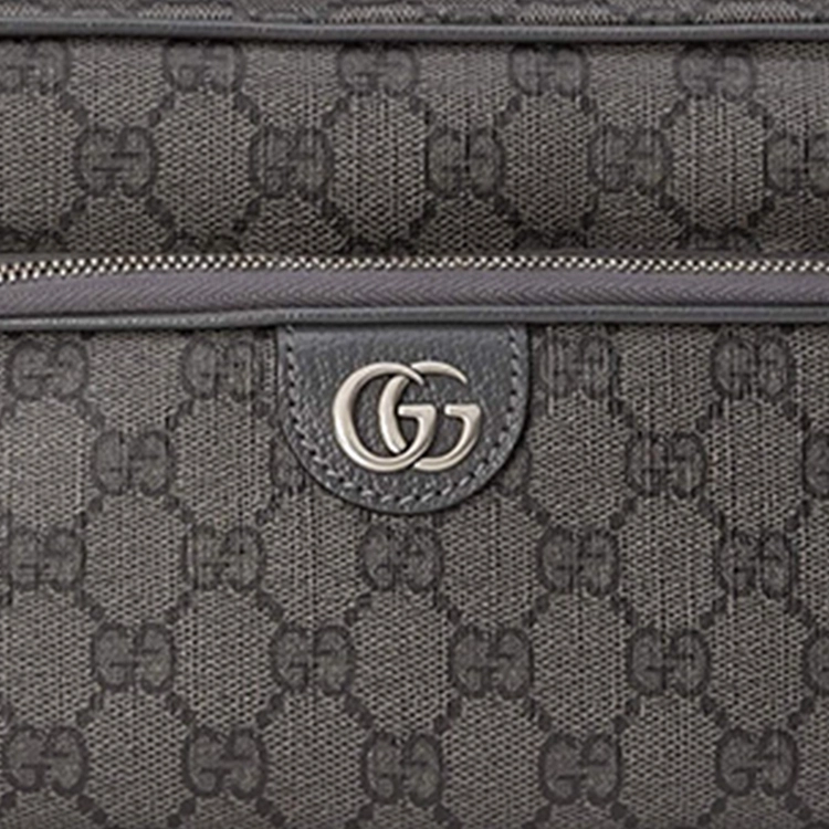 GUCCI Ophidia G