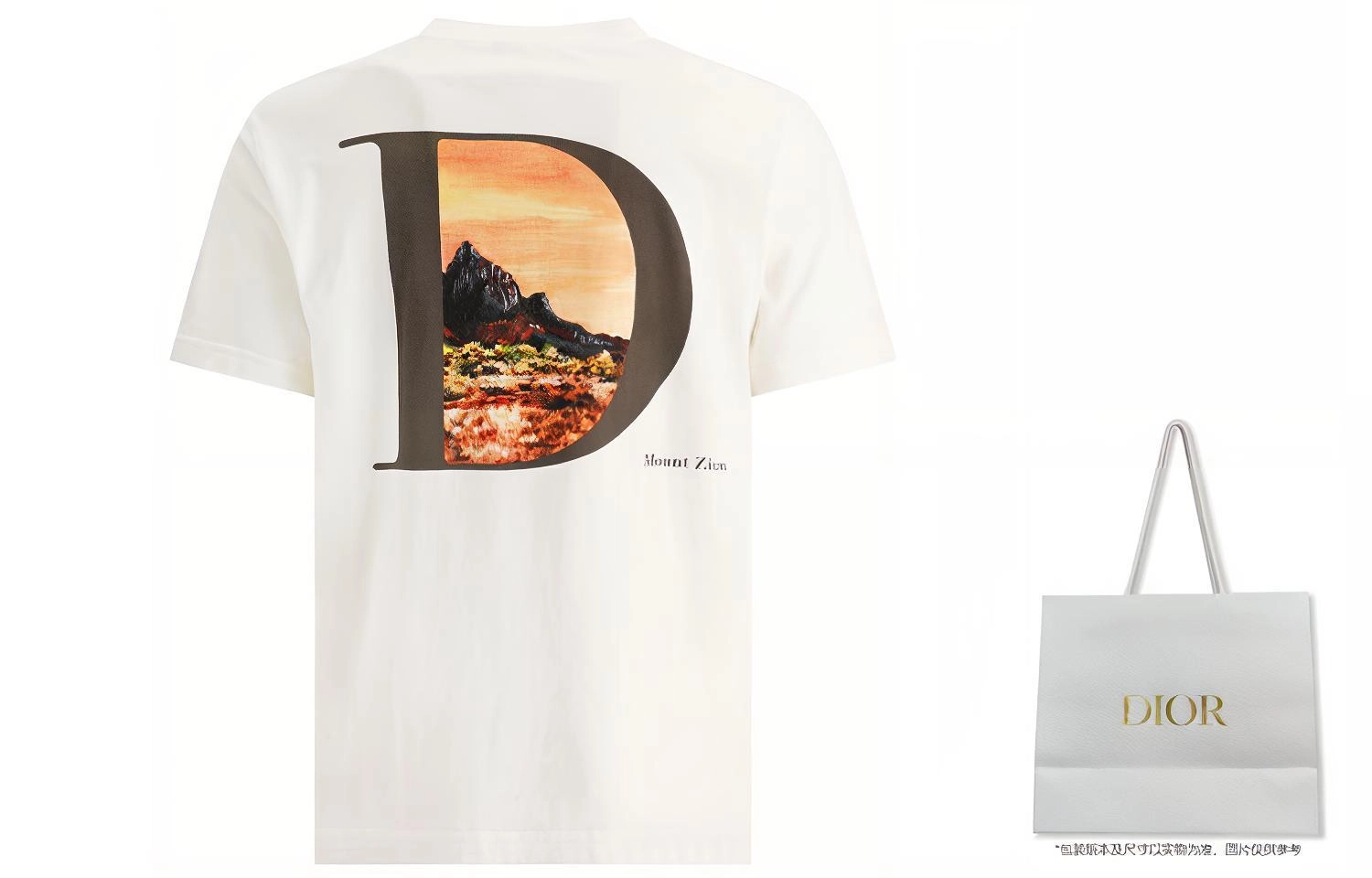 DIOR T