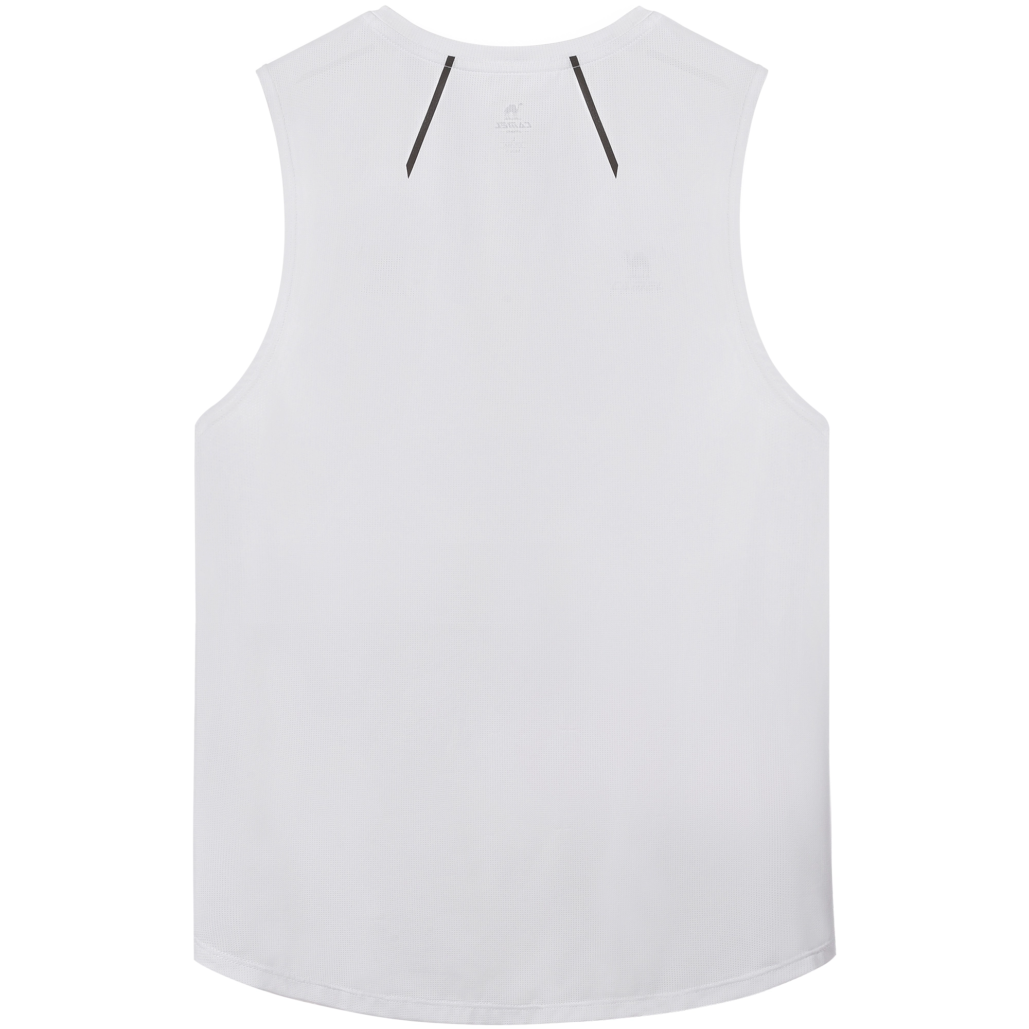 CAMEL T