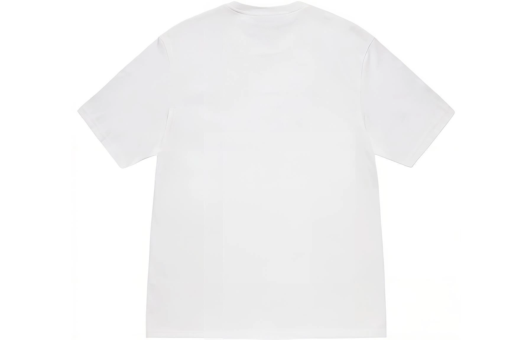 Stussy FW23 STSSY LUCHA TEE T