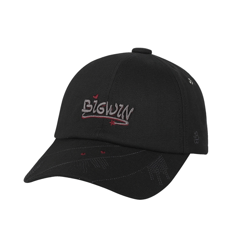 SWOFCARE BIGWIN