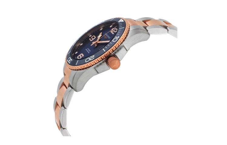 LONGINES 300 41mm L3.781.3.98.7