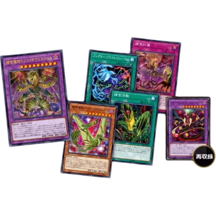 OCG DP22 5