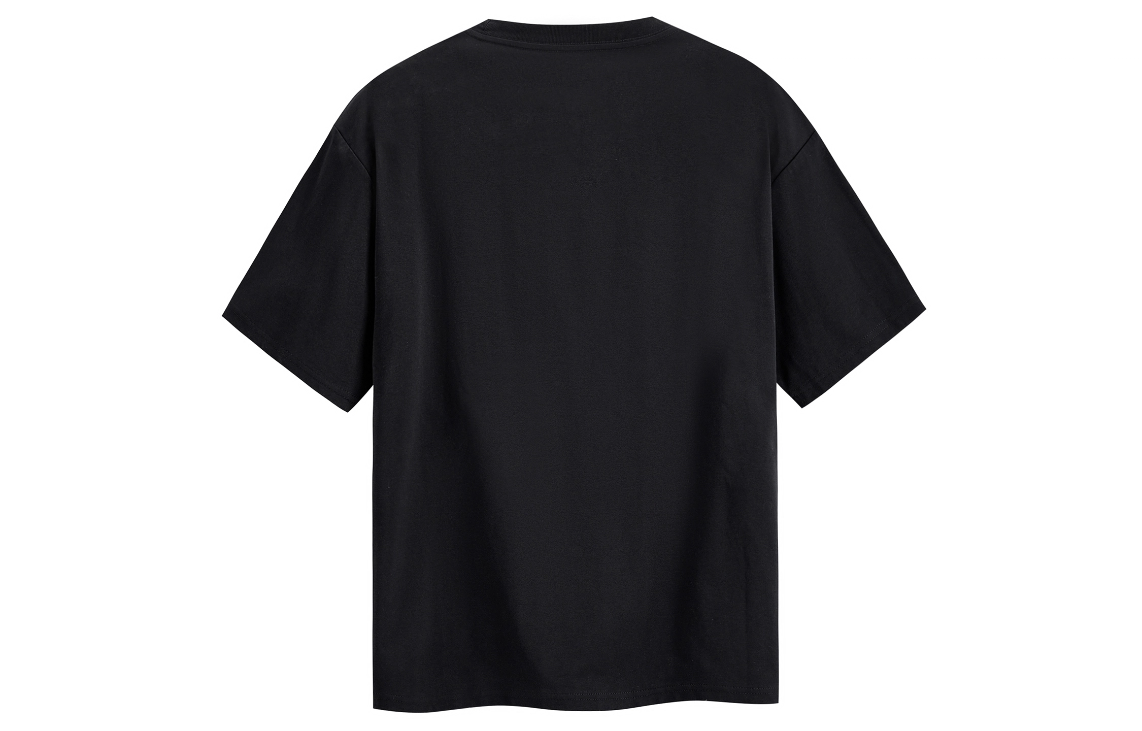 ICONS Lab T