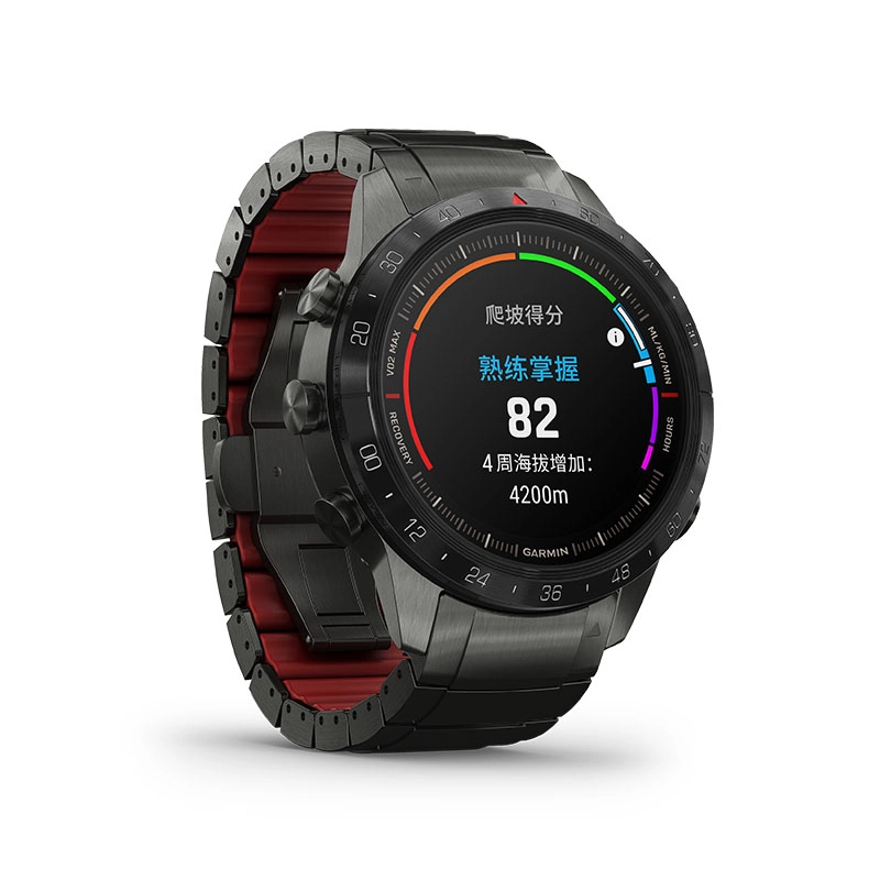 GARMIN - MARQ2