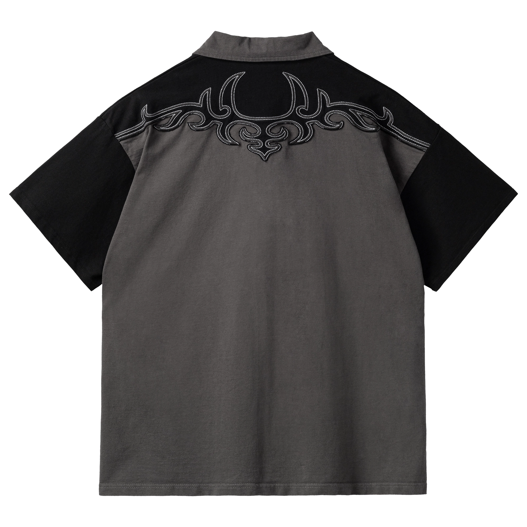 PILOTDRAGON PDPolo