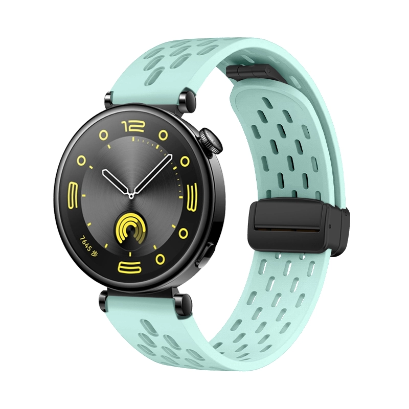 GT4gt3watch43proGT2pro4progs