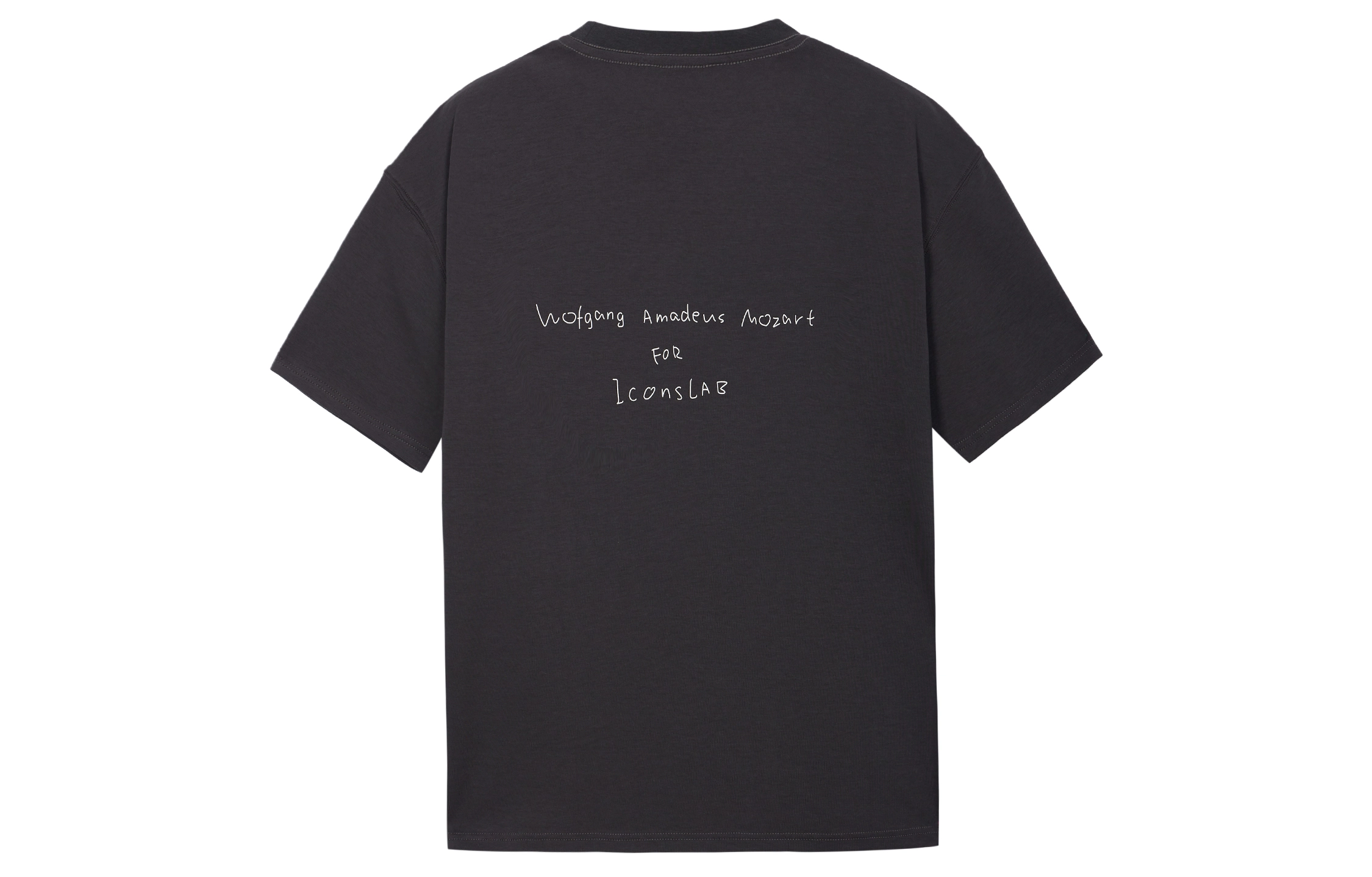 ICONS Lab T