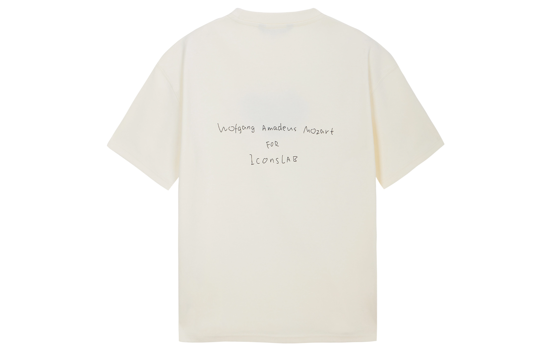 ICONS Lab T
