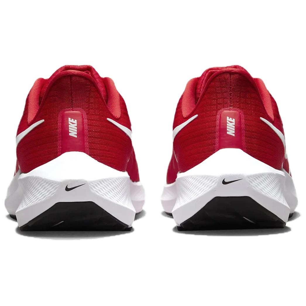 Nike Air Zoom Pegasus 39