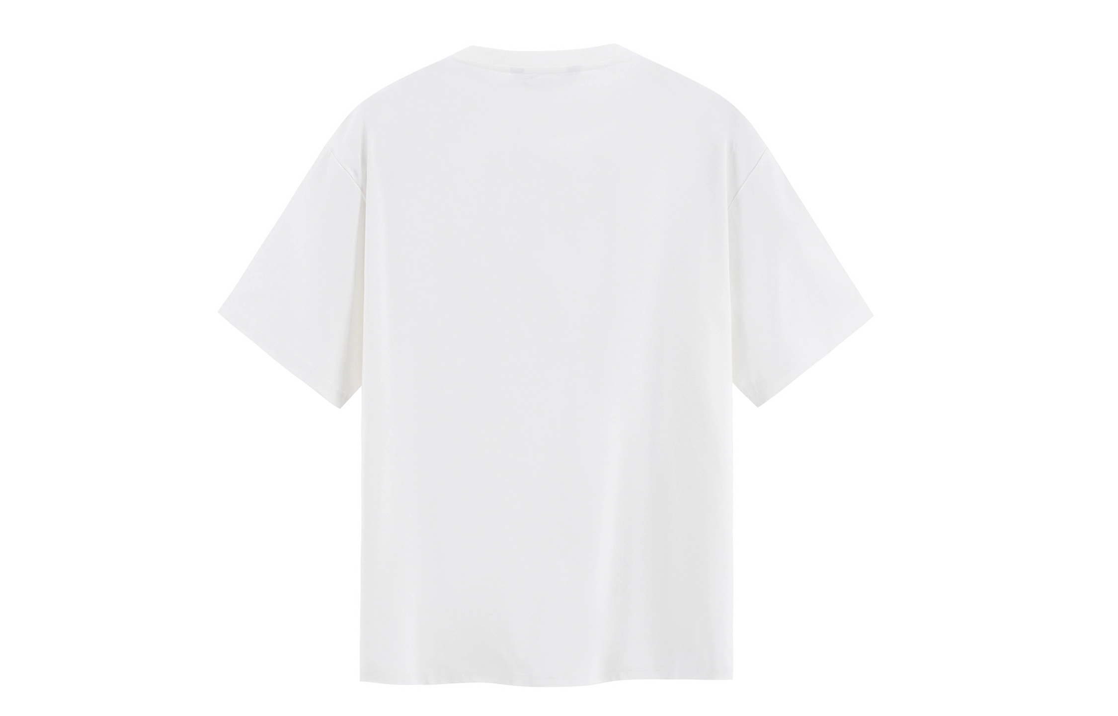 ICONS Lab T