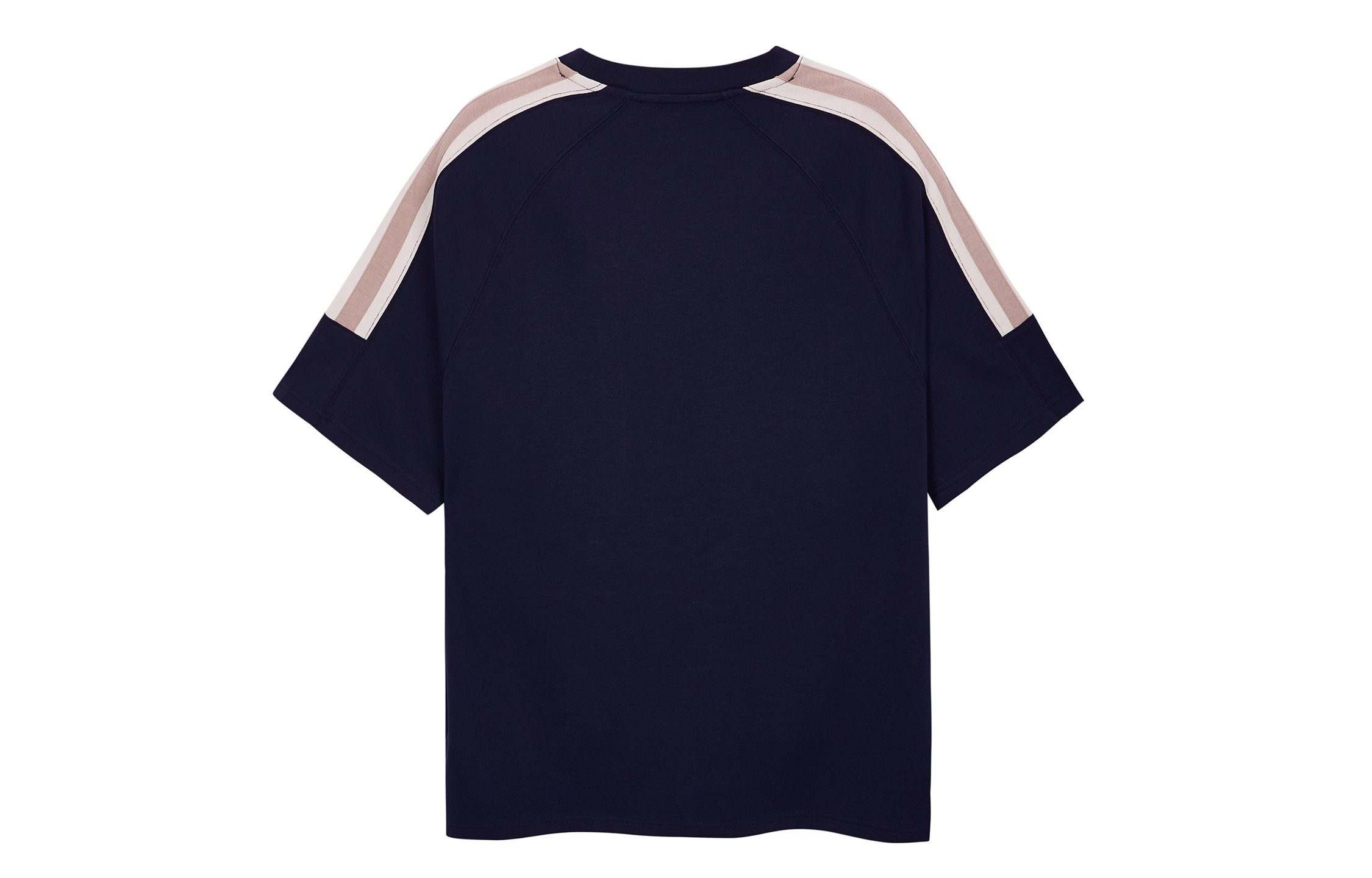 ICONS Lab T