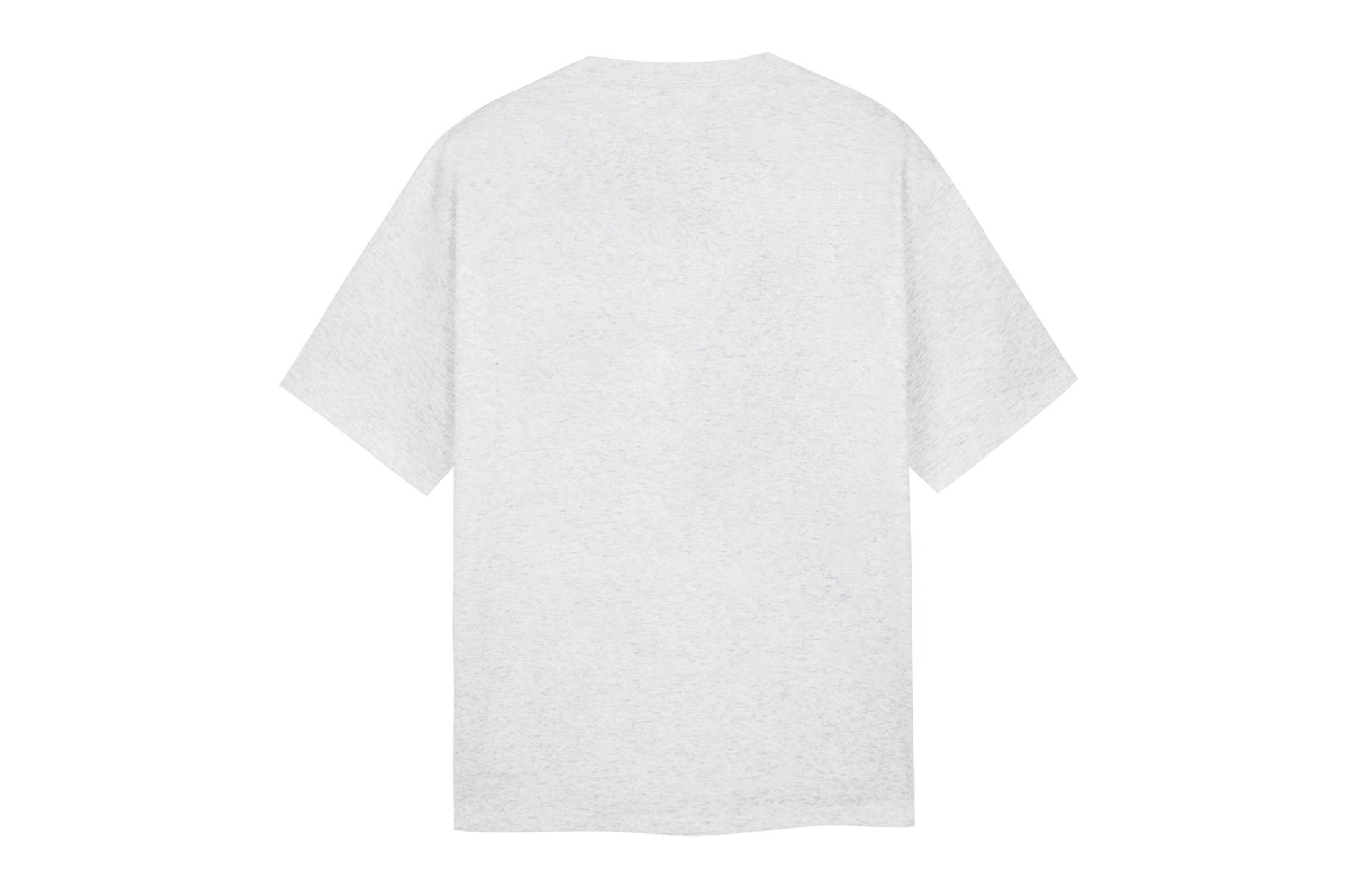 ICONS Lab T