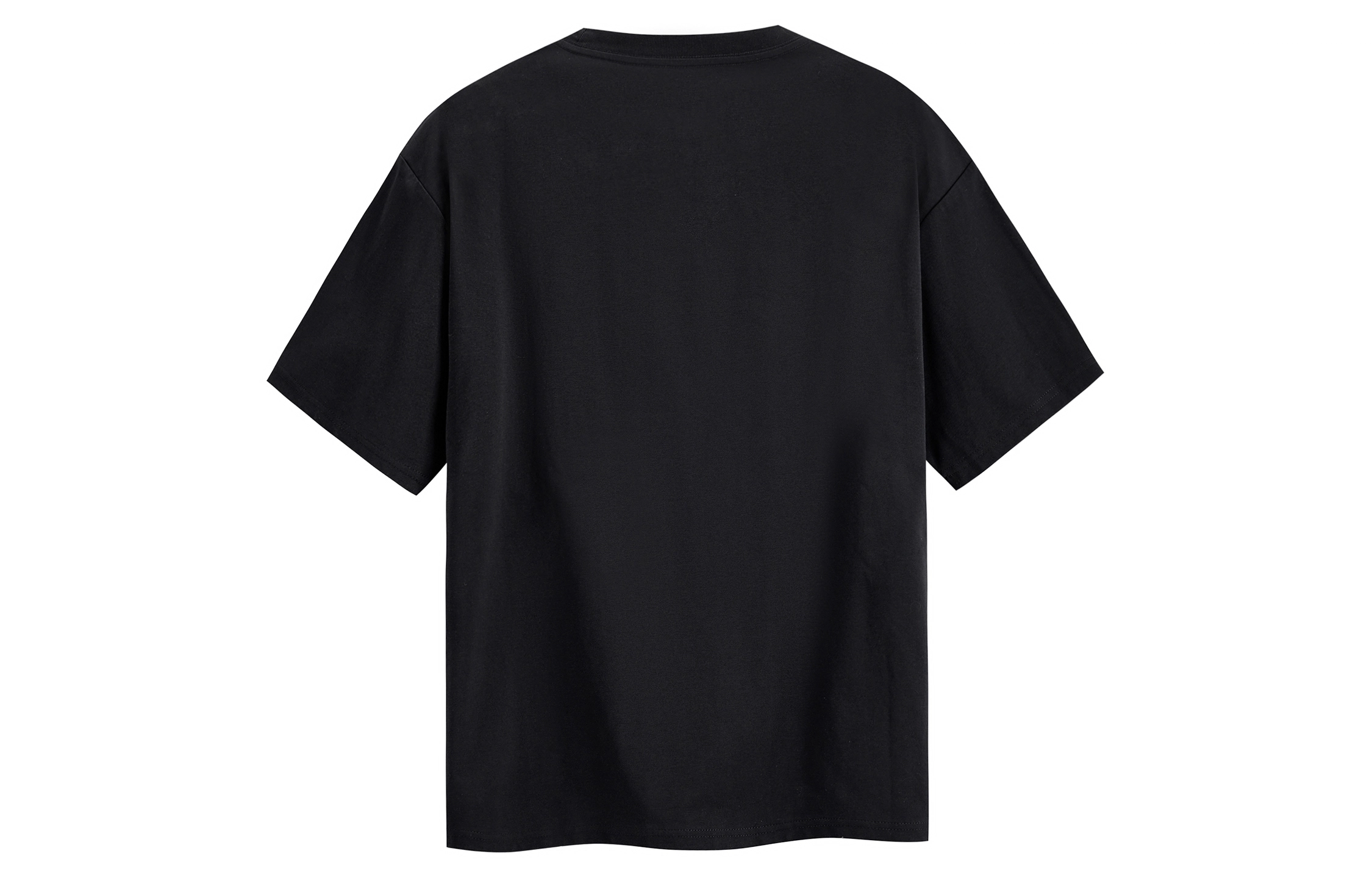 ICONS Lab T