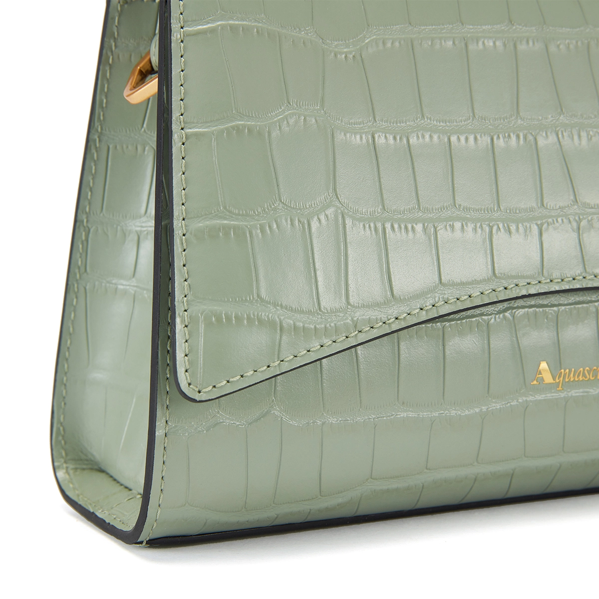 AQUASCUTUM