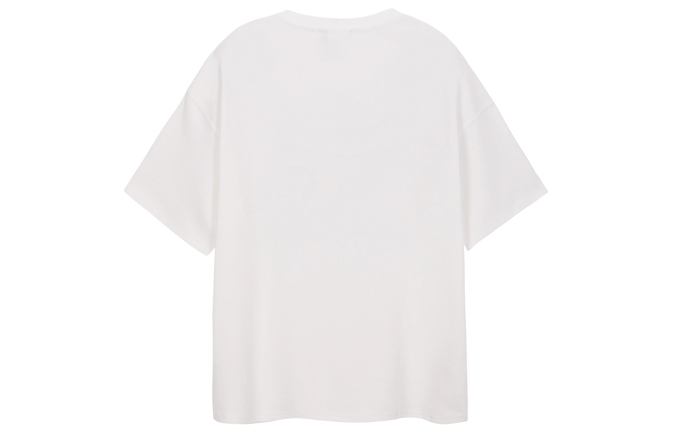 ICONS Lab T
