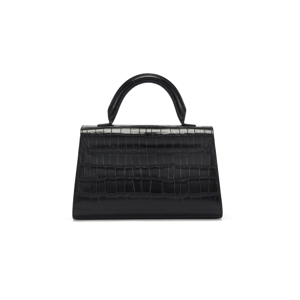 AQUASCUTUM