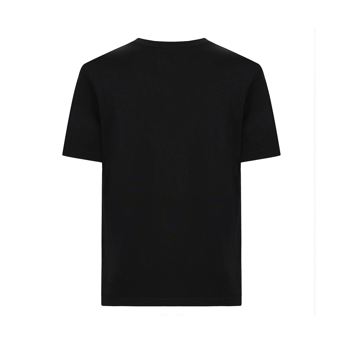Cavalli Class T