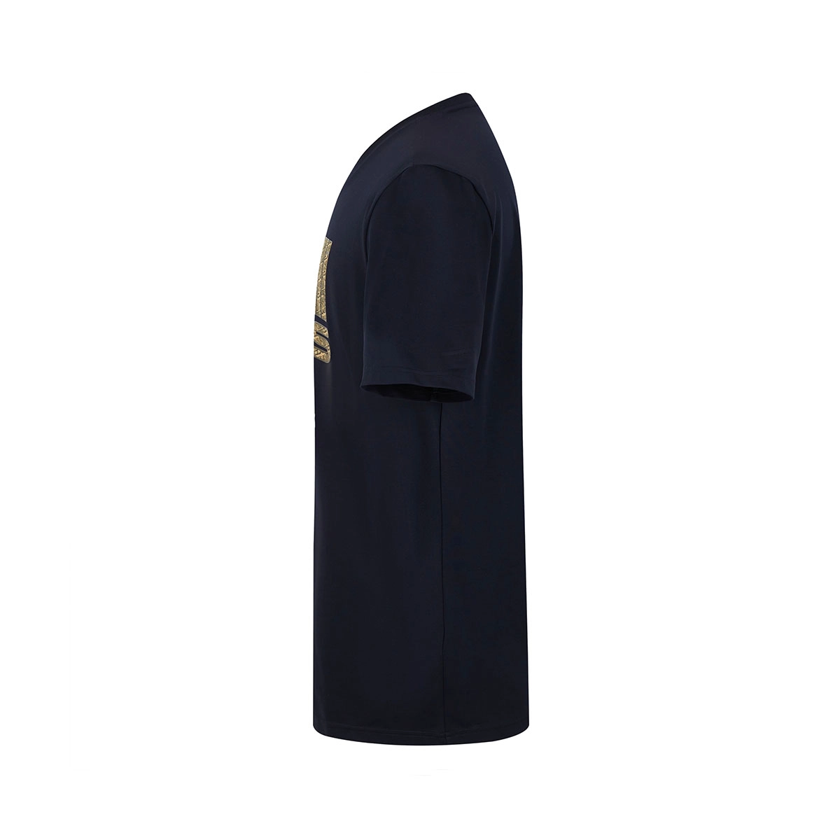 Cavalli Class T