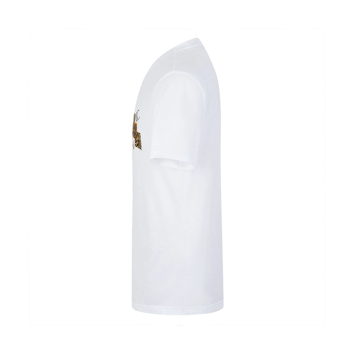 Cavalli Class T