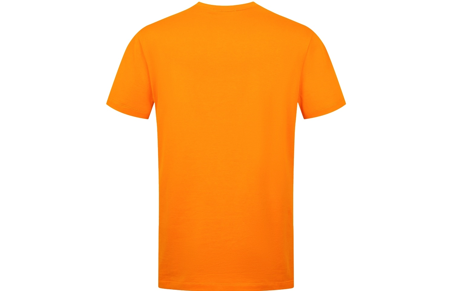 FERRE SS24 LogoT