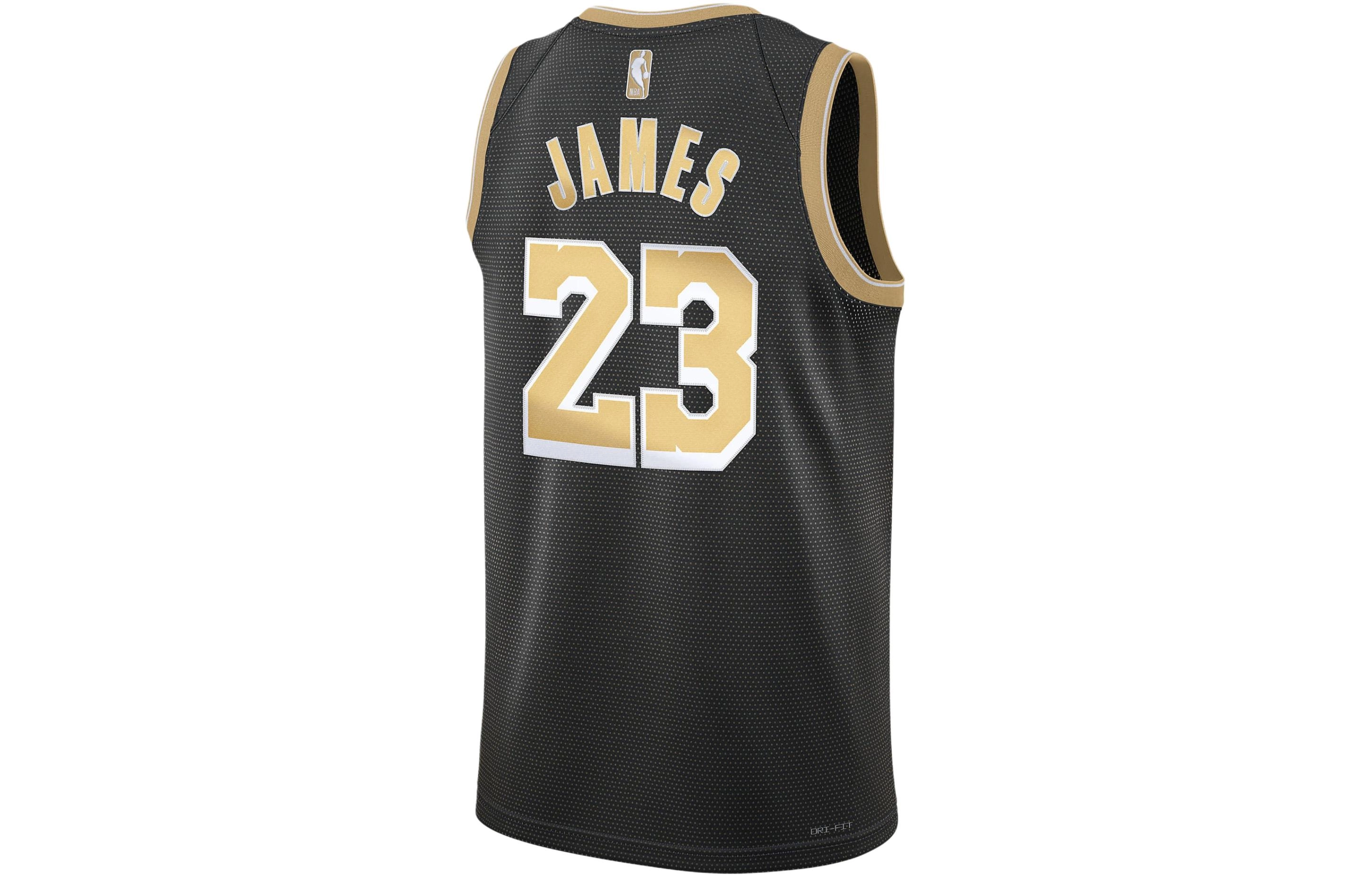 Nike x NBA LeBron James Los Angeles Lakers 2024 Select Series