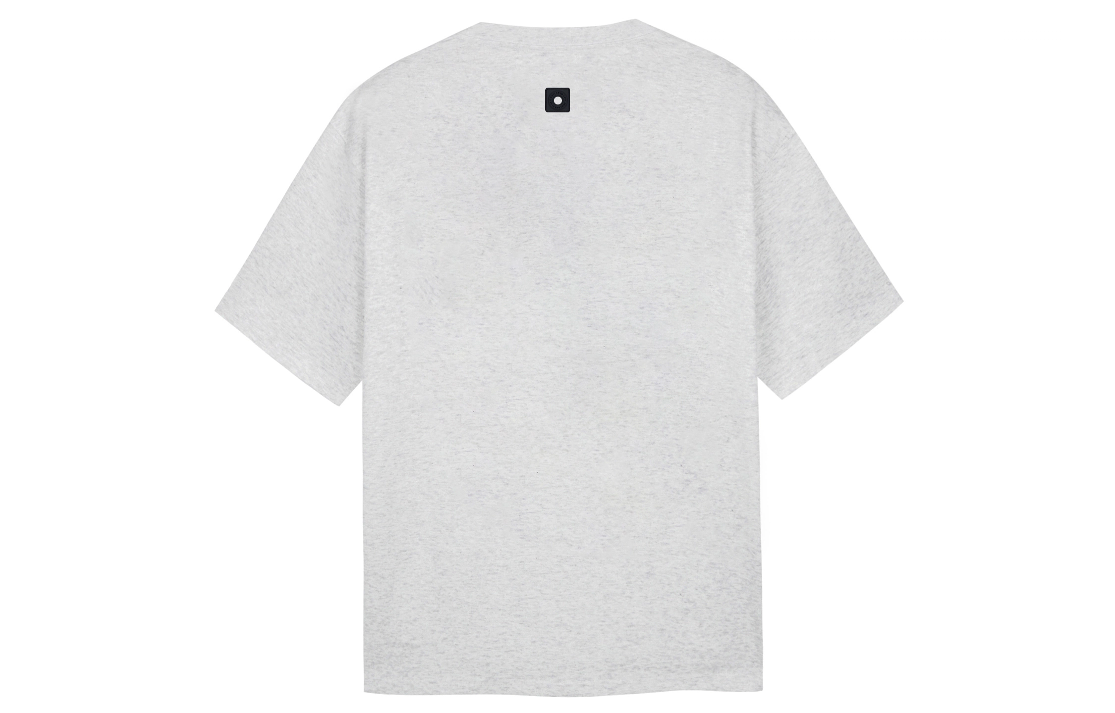 ICONS Lab T