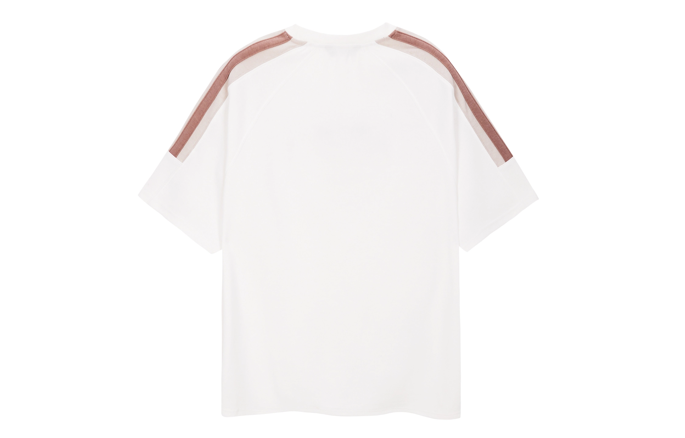 ICONS Lab T