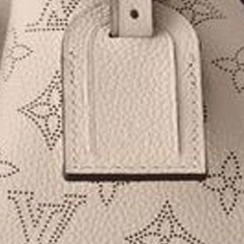 LOUIS VUITTON MONOGRAM