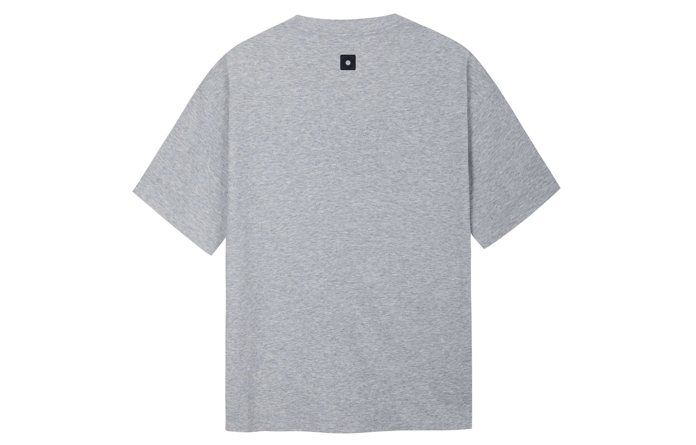 ICONS Lab T