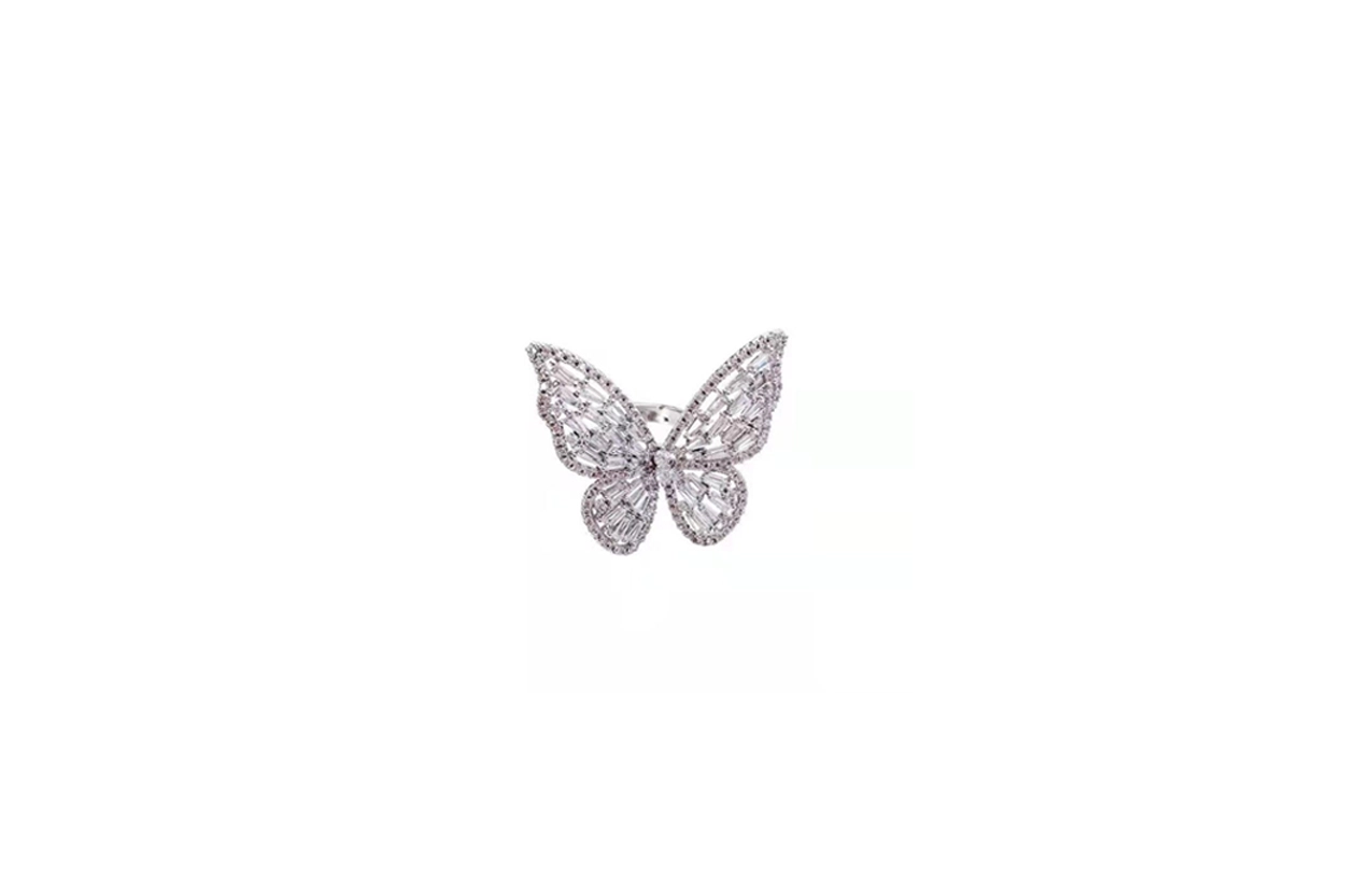 CARAT'SDIARY