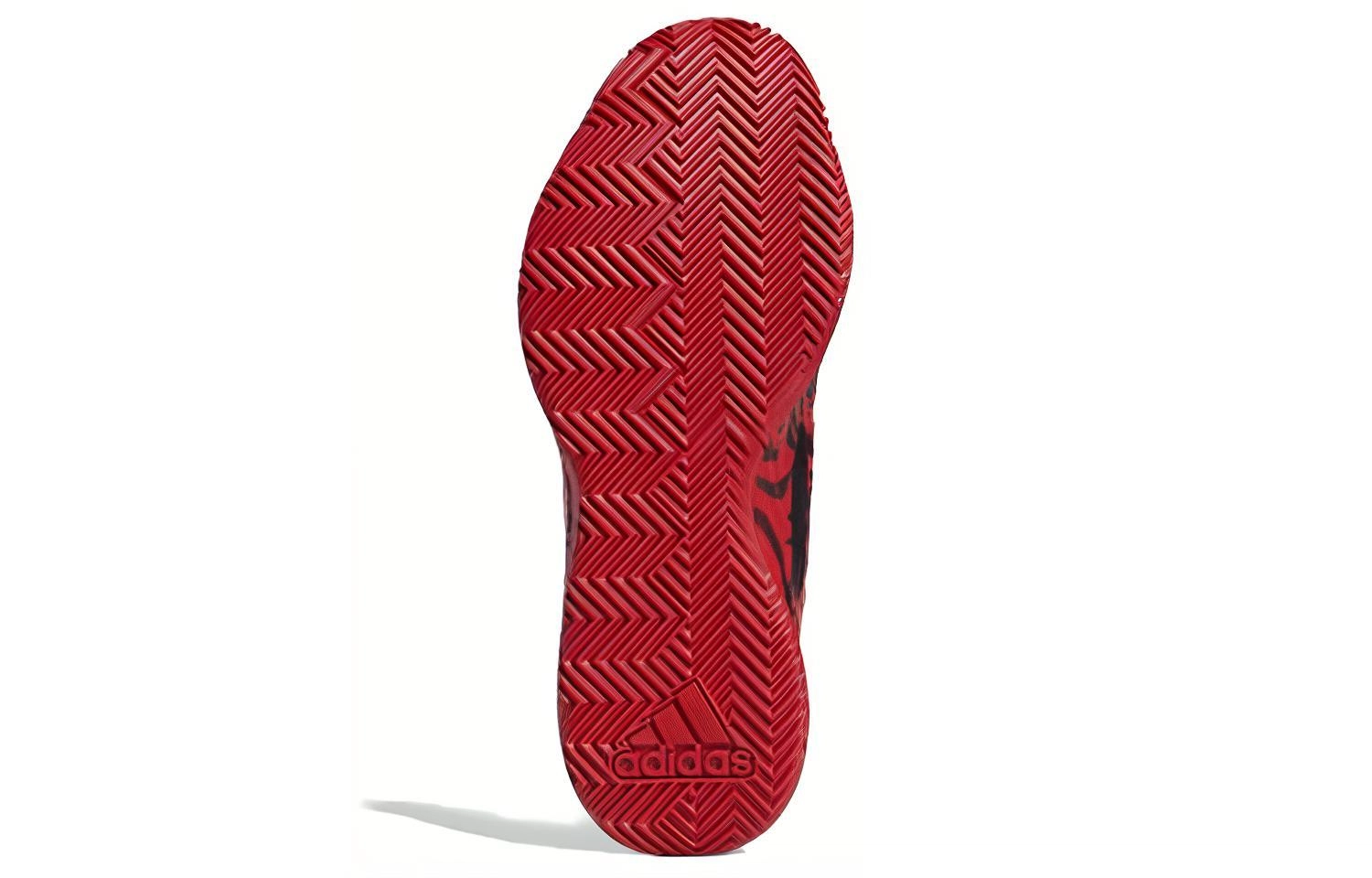adidas D lillard 5 5
