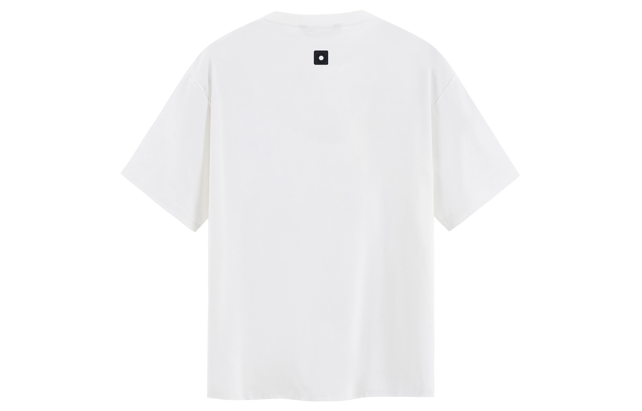 ICONS Lab T