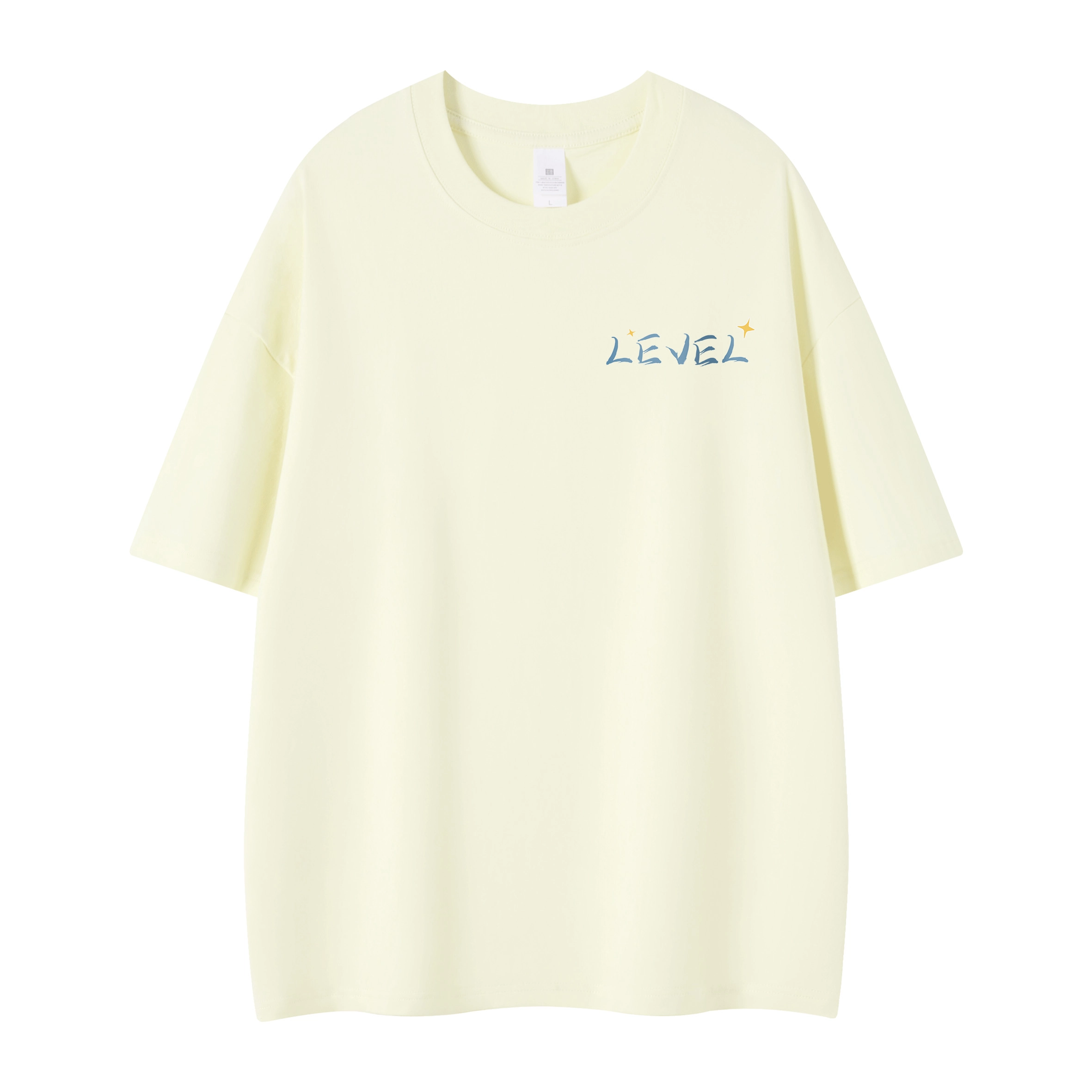 LEVEL T