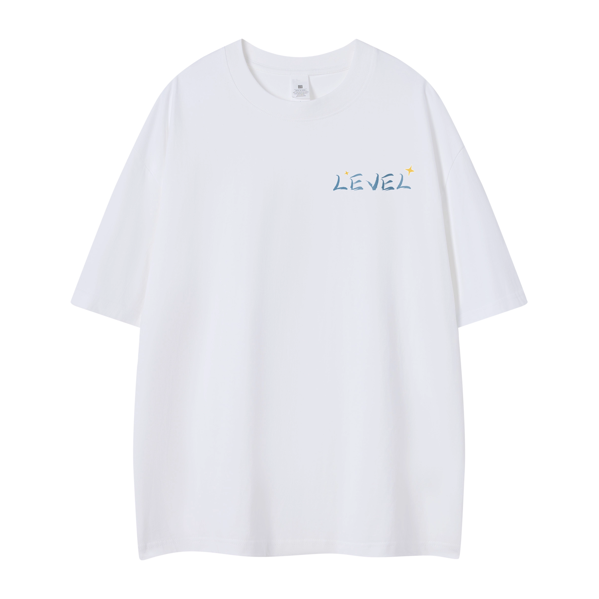 LEVEL T