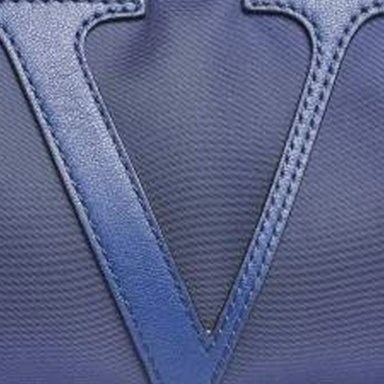 Valentino Vlogo Logo