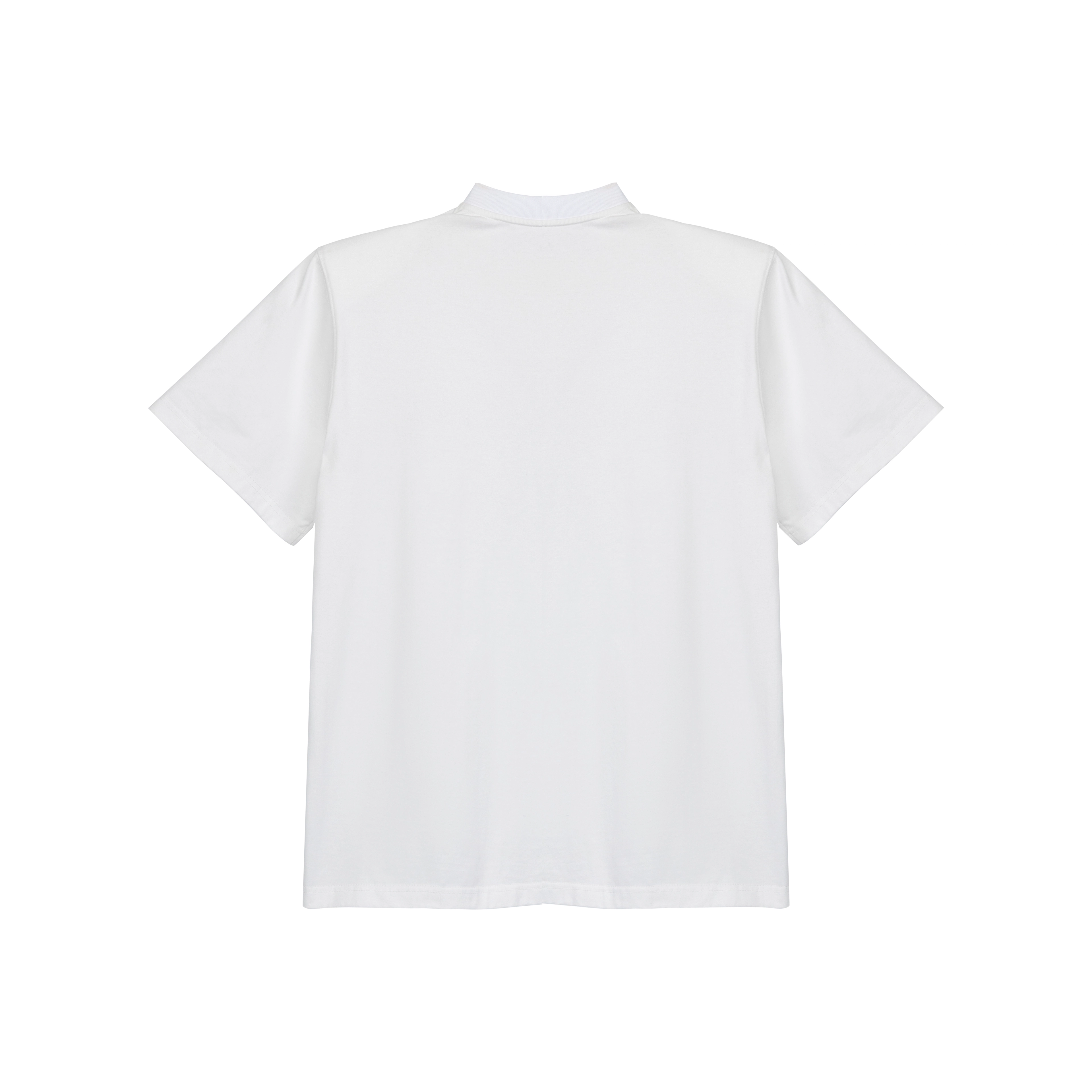 DBW DOUBLEWIN T