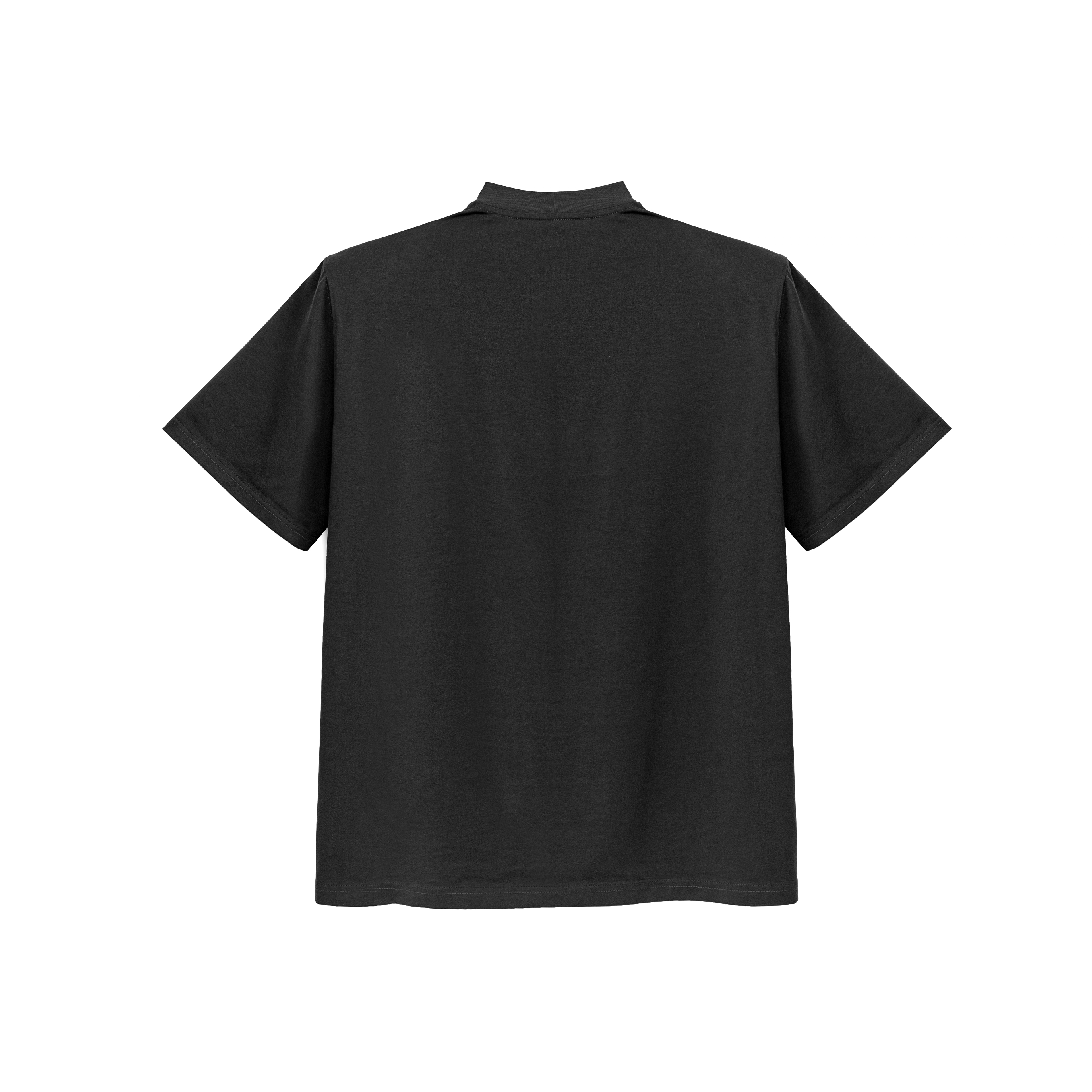 DBW DOUBLEWIN T