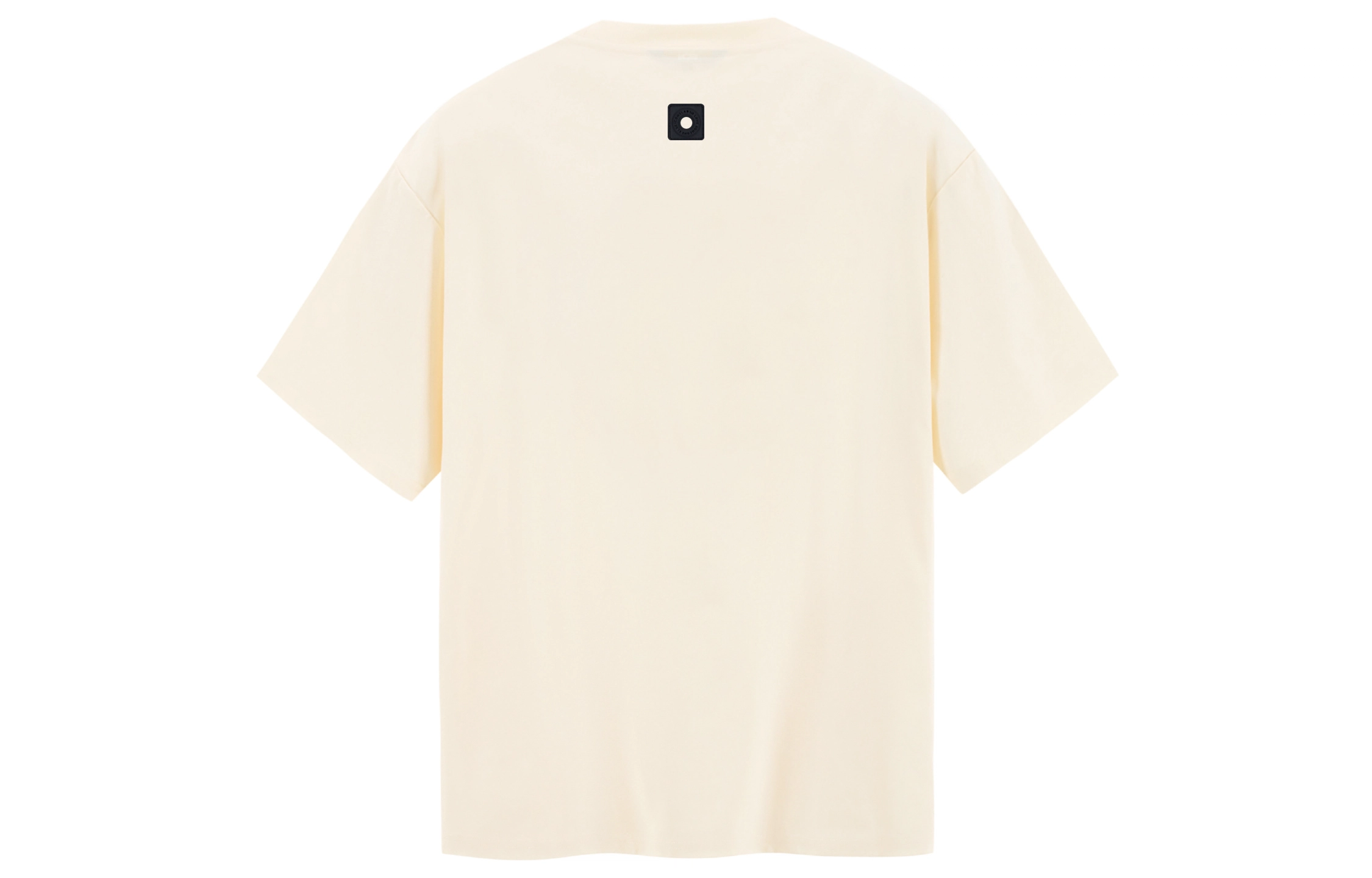 ICONS Lab T