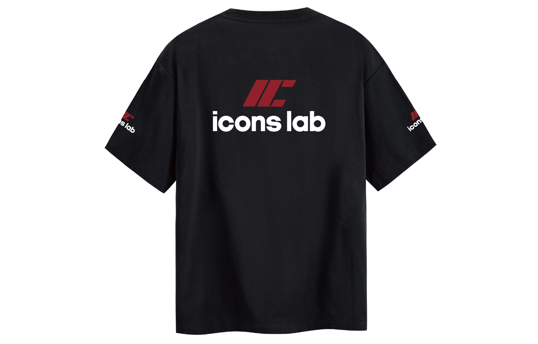 ICONS Lab LogoT