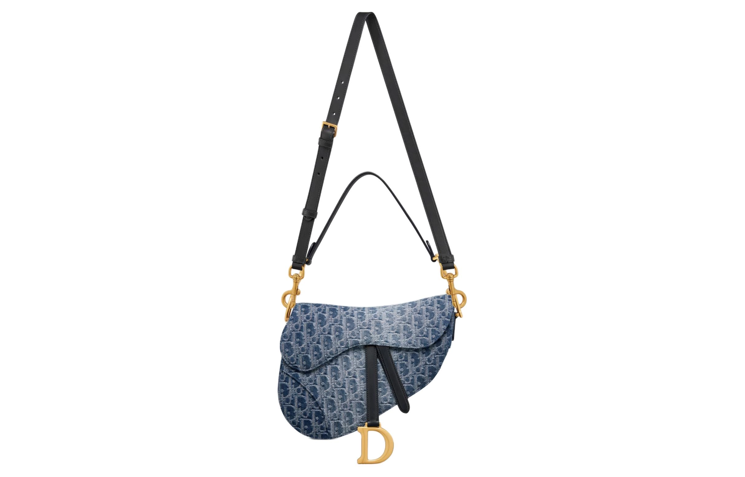 DIOR Saddle D