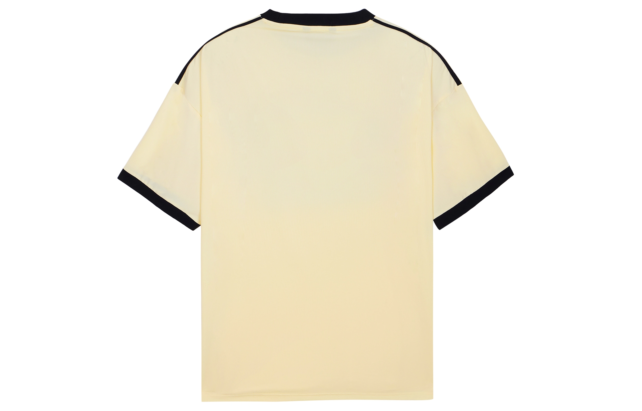 ICONS Lab T