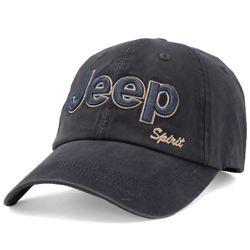 JEEP SPIRIT ins