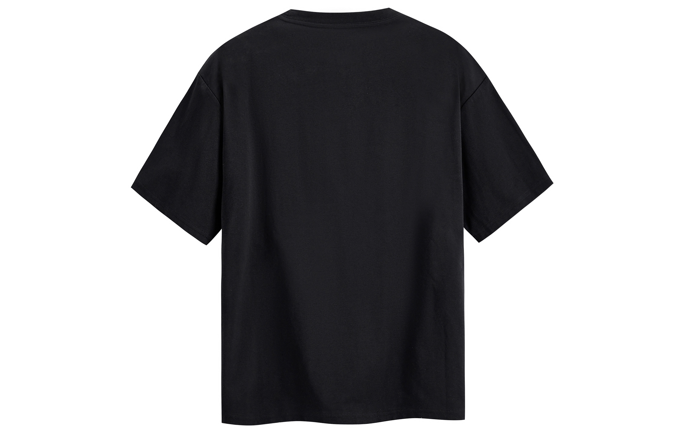 ICONS Lab T