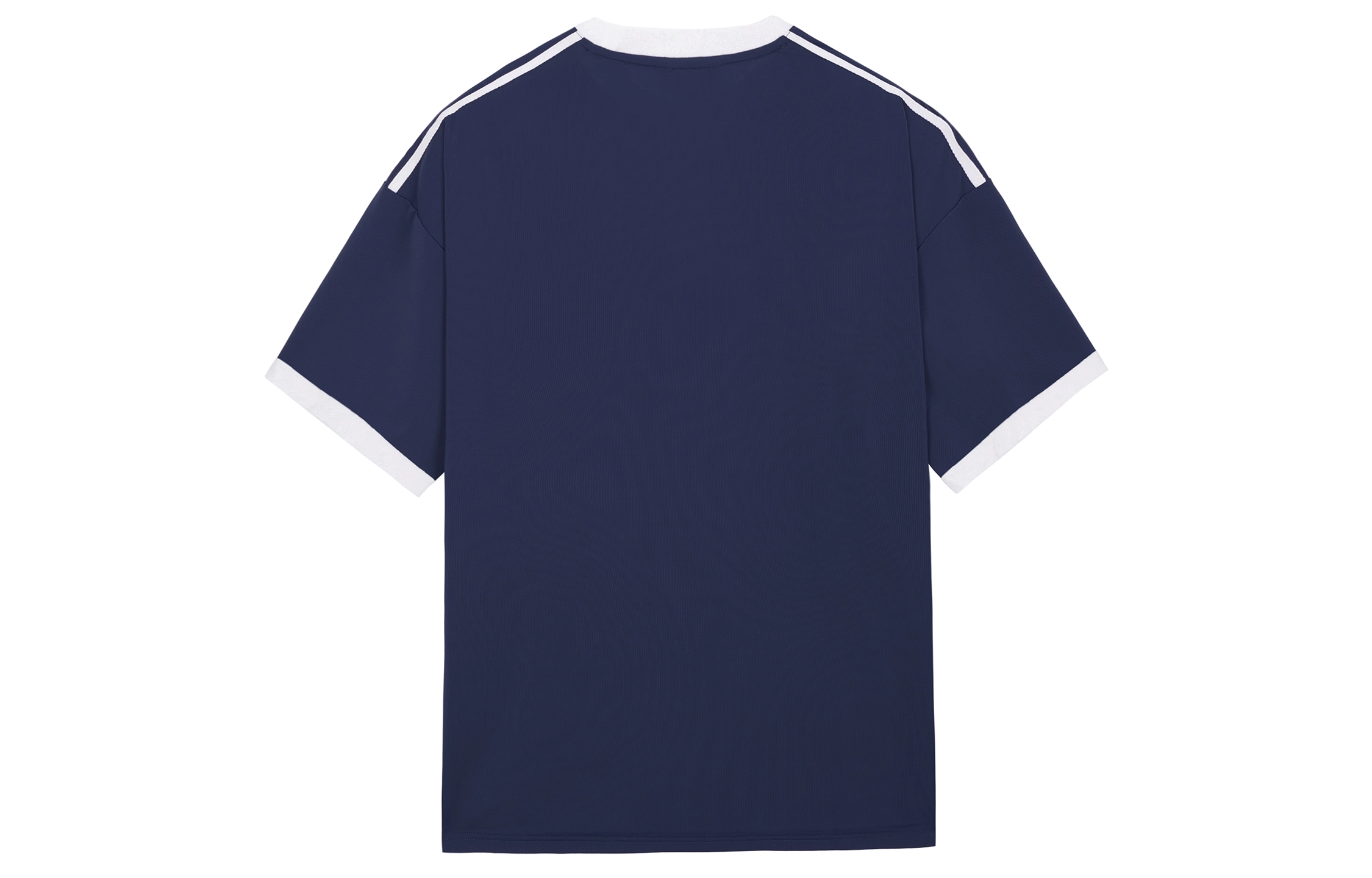 ICONS Lab T