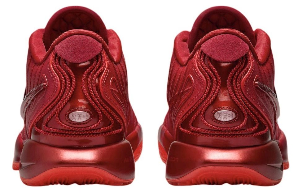 Nike Lebron 21 James Gang