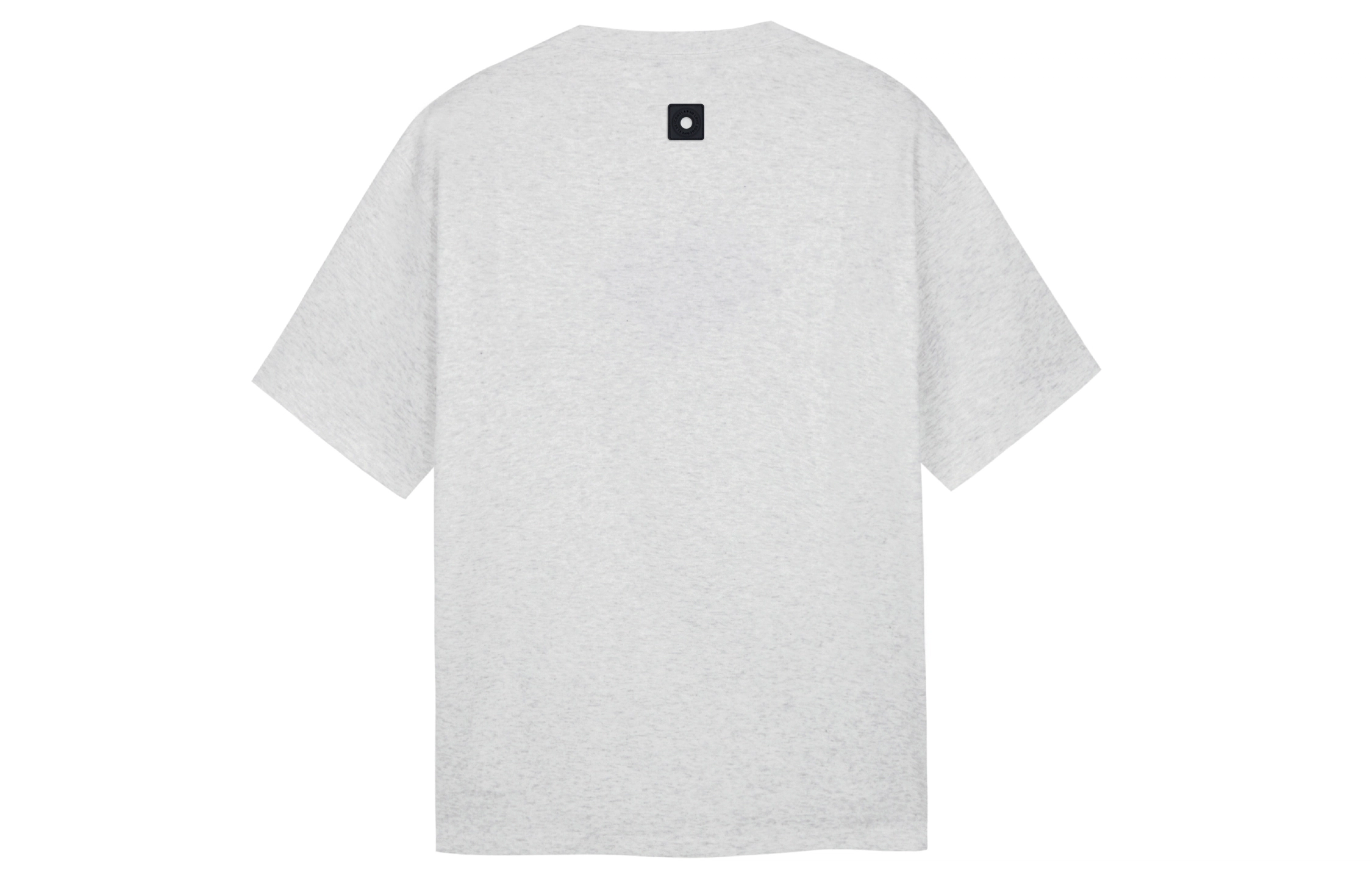 ICONS Lab T